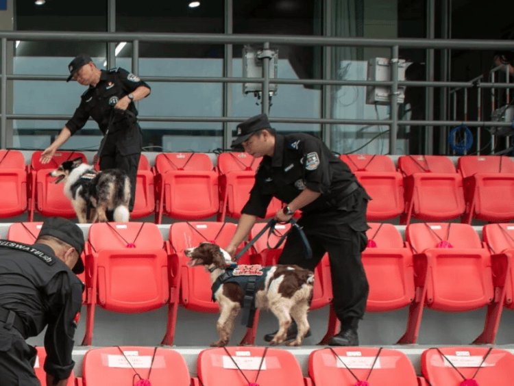 “汪汪队”的“苏超”赛场安保日记