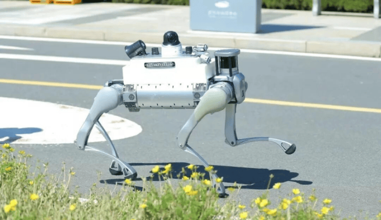 “汪汪队”的“苏超”赛场安保日记